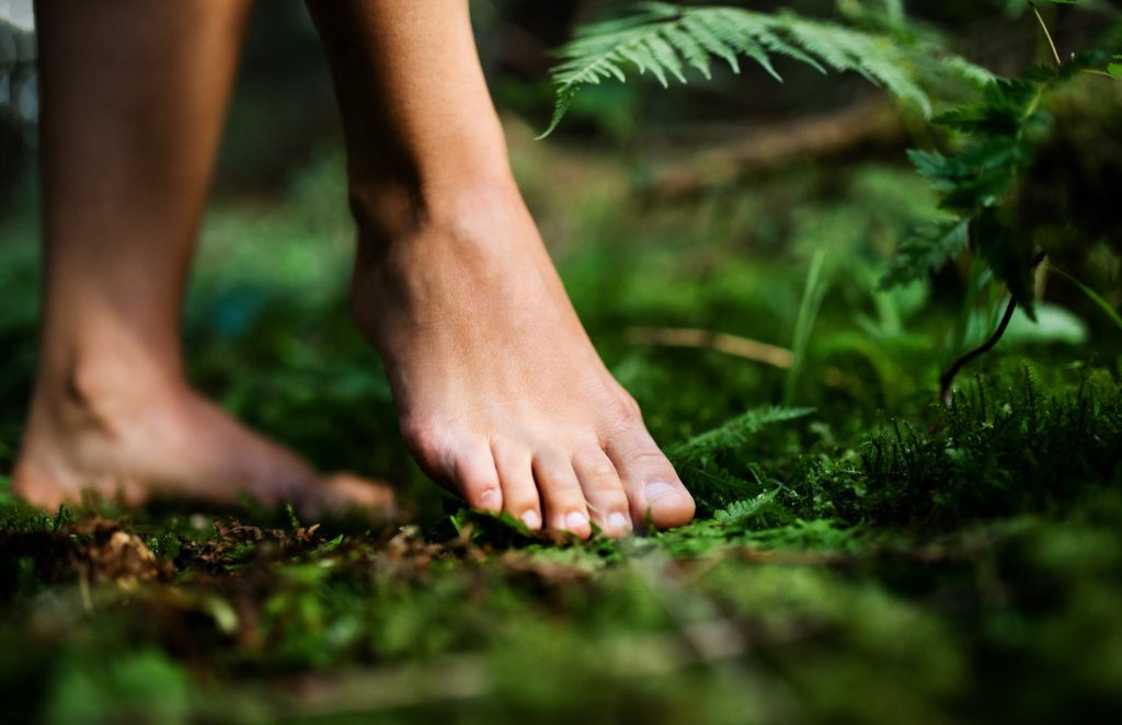 Biohacking - hvordan bli den beste versjonen av deg selv! 2 Grounding, barefoot, mels, biohacking